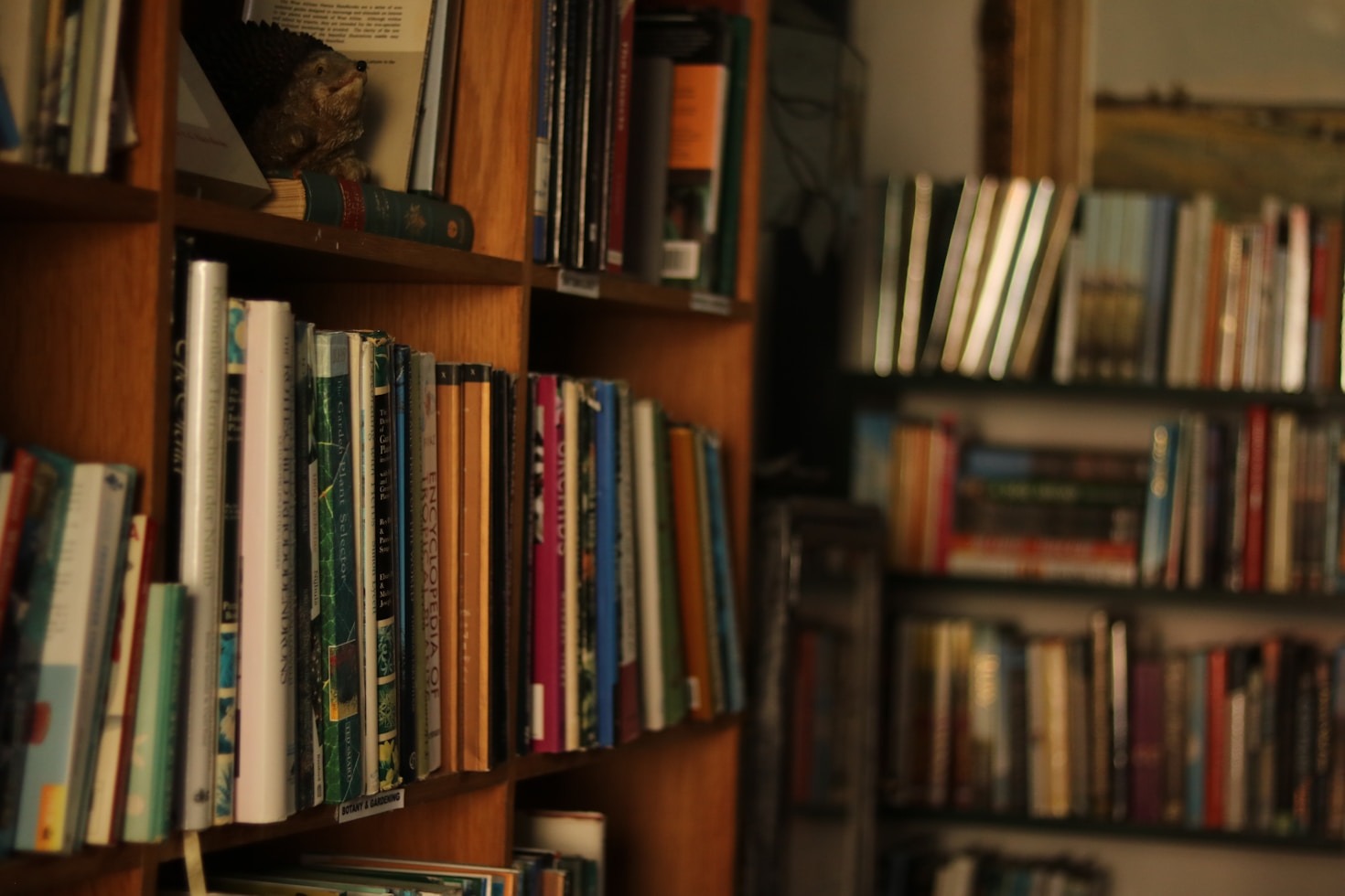 How Practice Exams Enhance Learning Outcomes